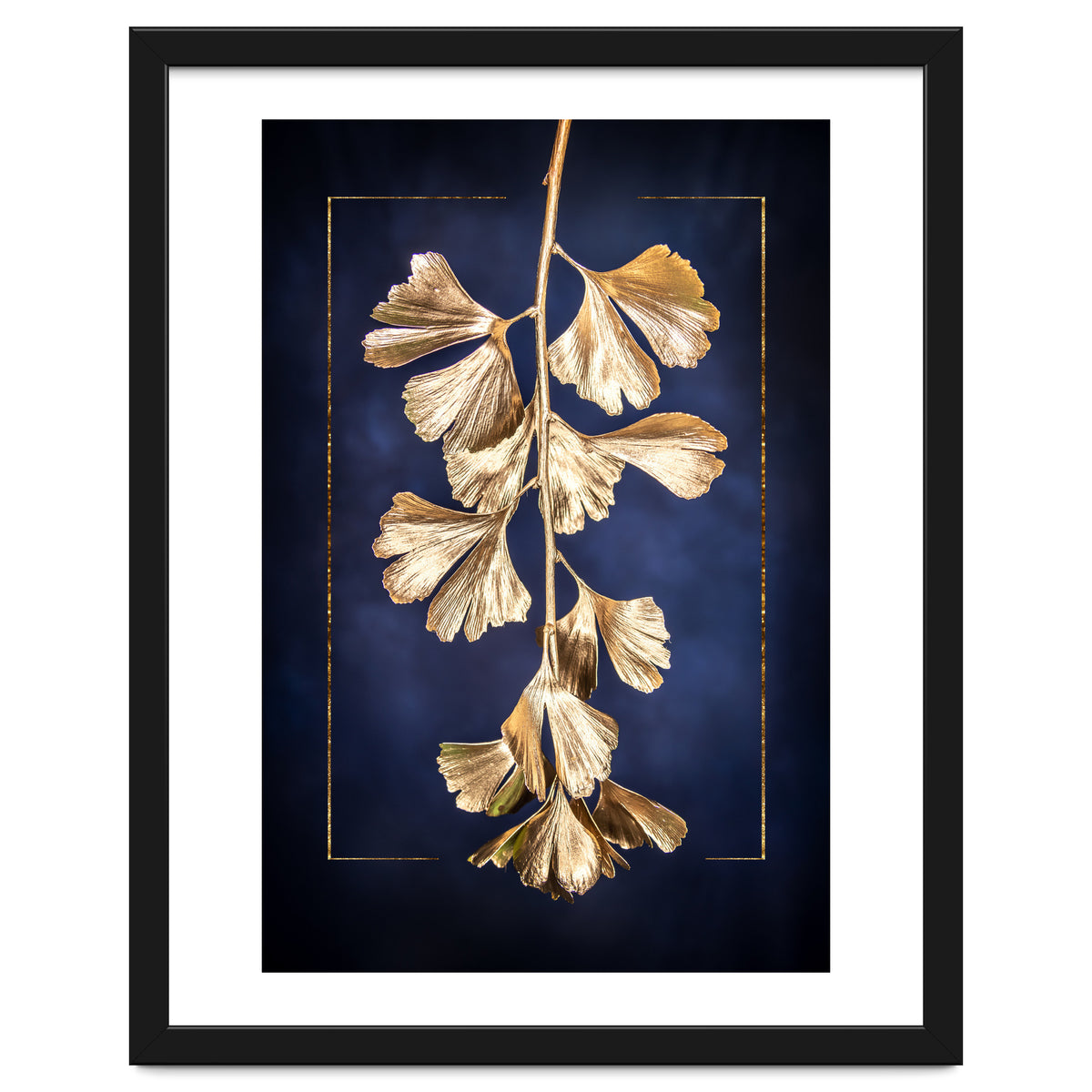 Golden Gingko Tree