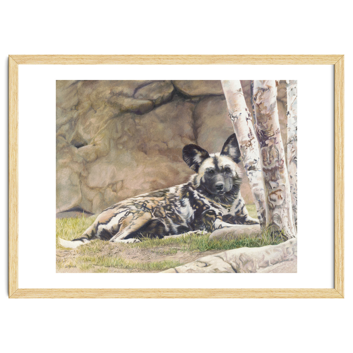 Afican Painted Dog IV - Imara
