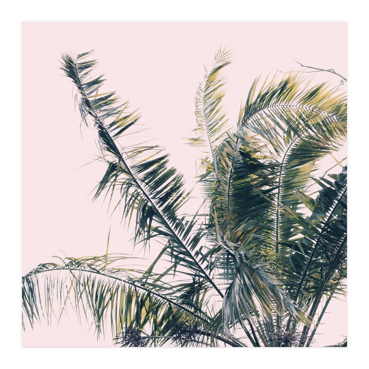 Winds Of Change #1 (Print Only)