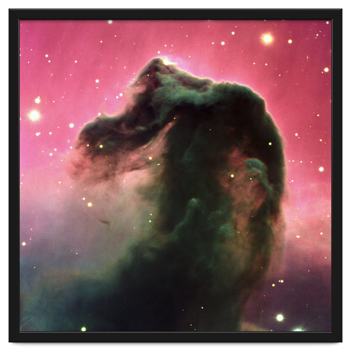 The Horsehead Nebula