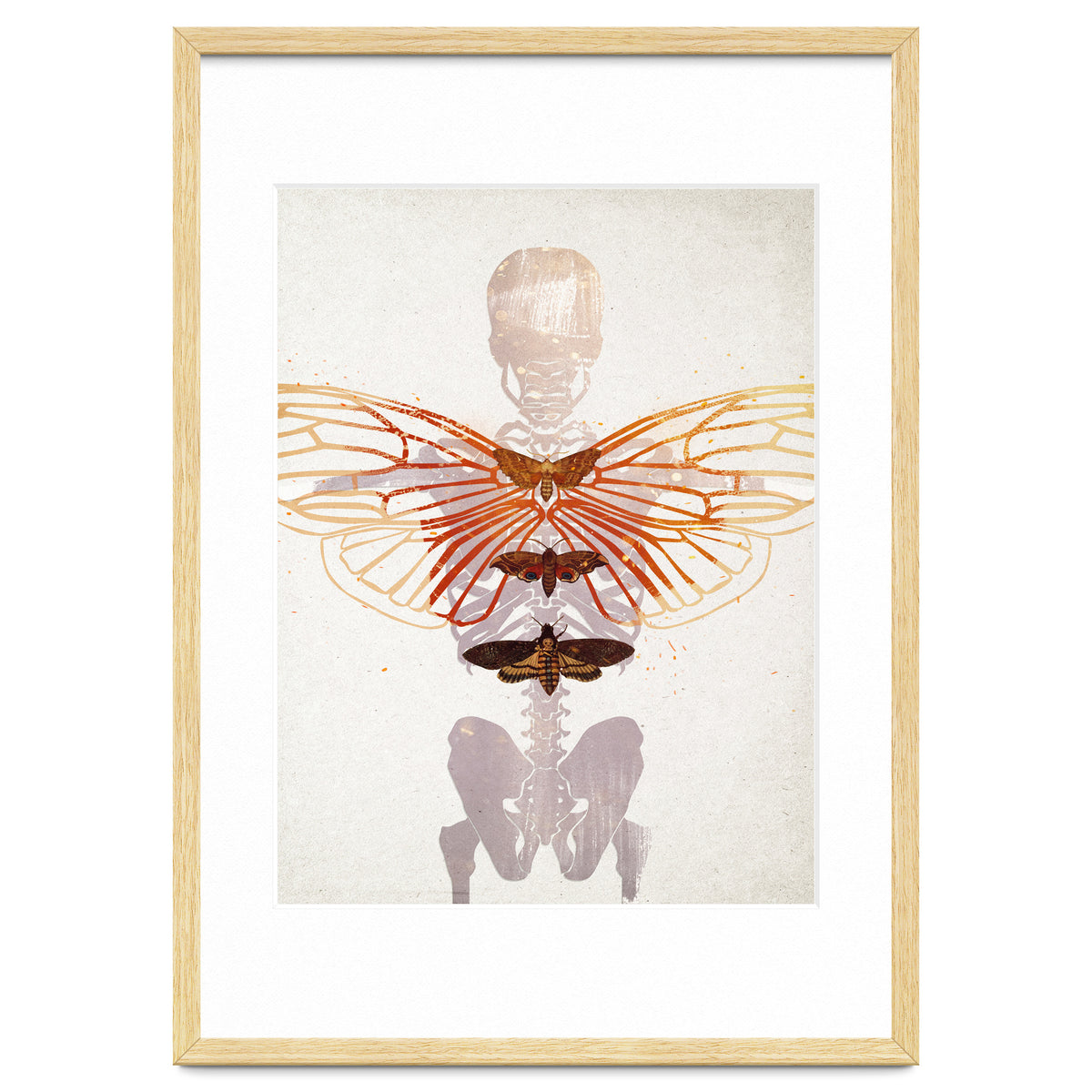 Ikarus - Like a Moth to the Flame