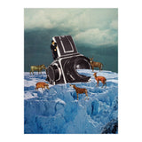 Cameraman (Print Only) thumbnail