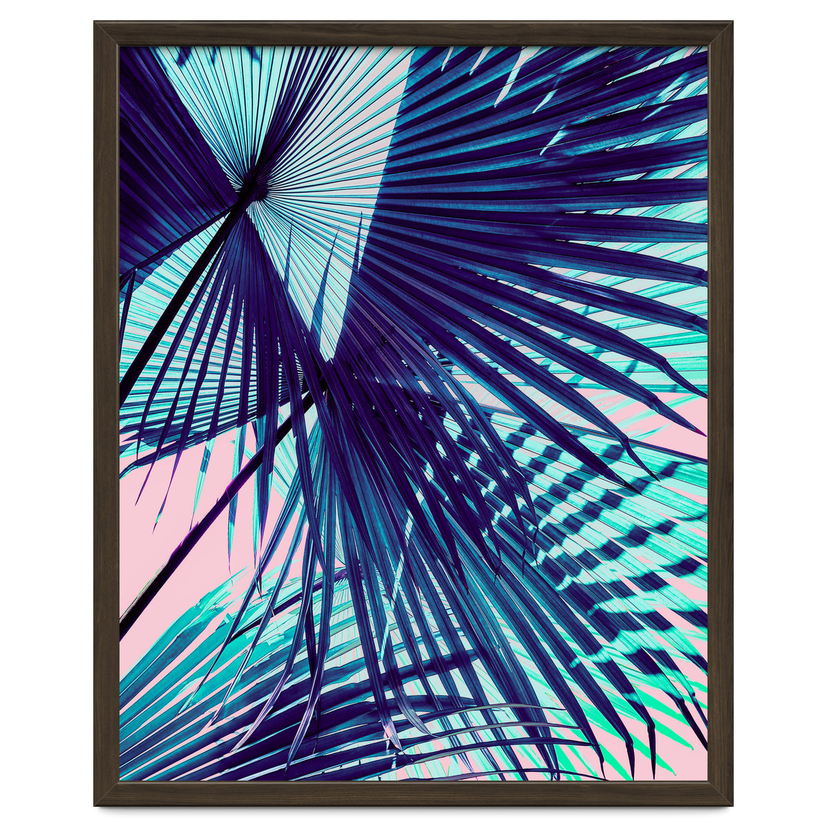 Palm leaf on the beach