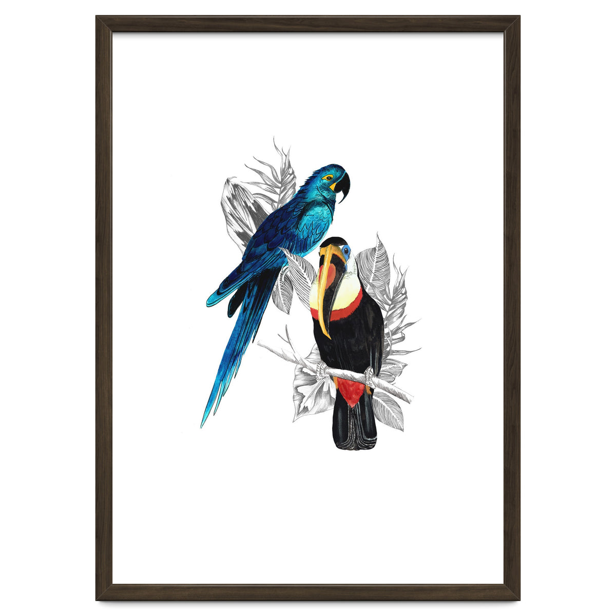 The Toucan and the Parrot