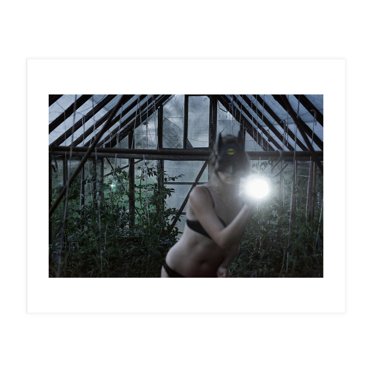 Tomatoes Thief (Print Only)