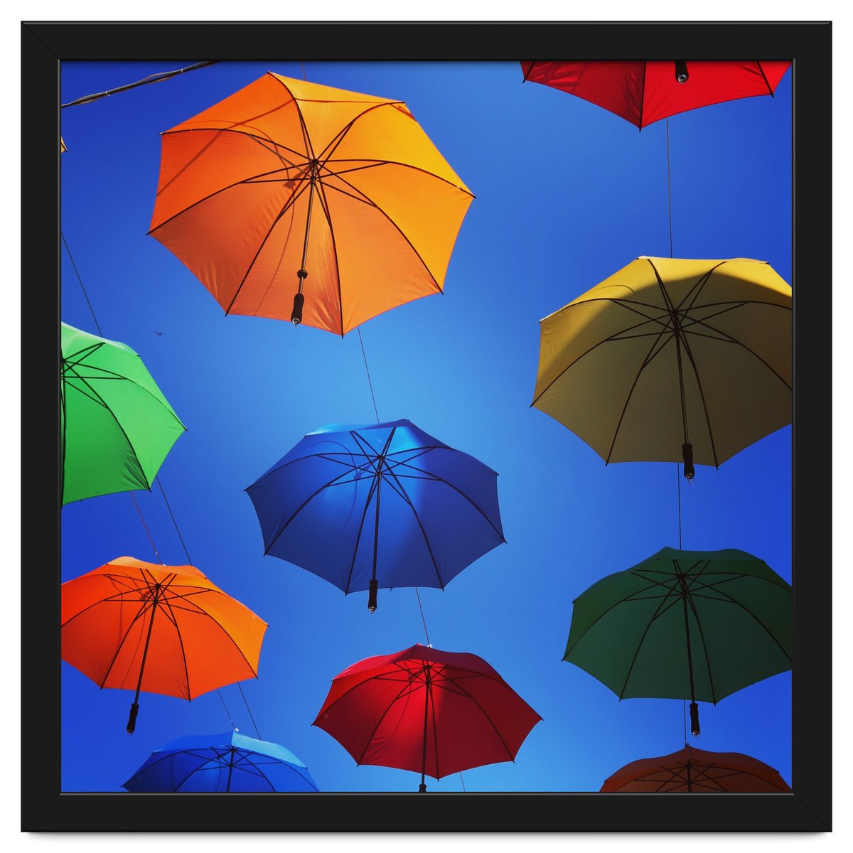 Rainbow umbrellas