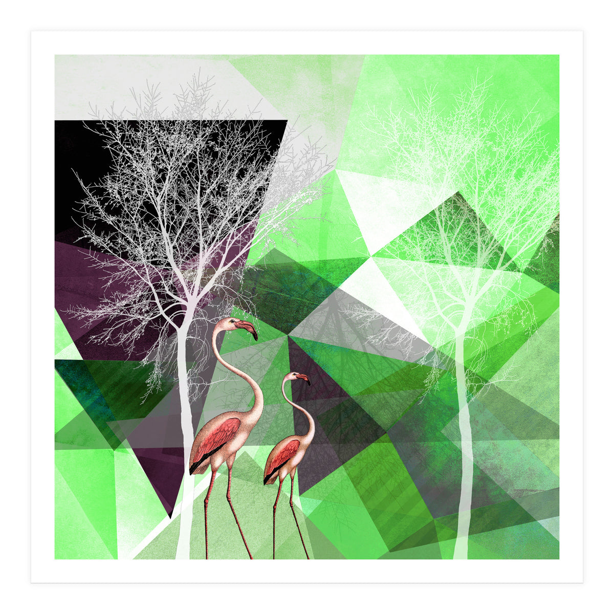 FLAMINGOS P21  (Print Only)