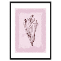 Magnolia Neutral Abstract Botanical