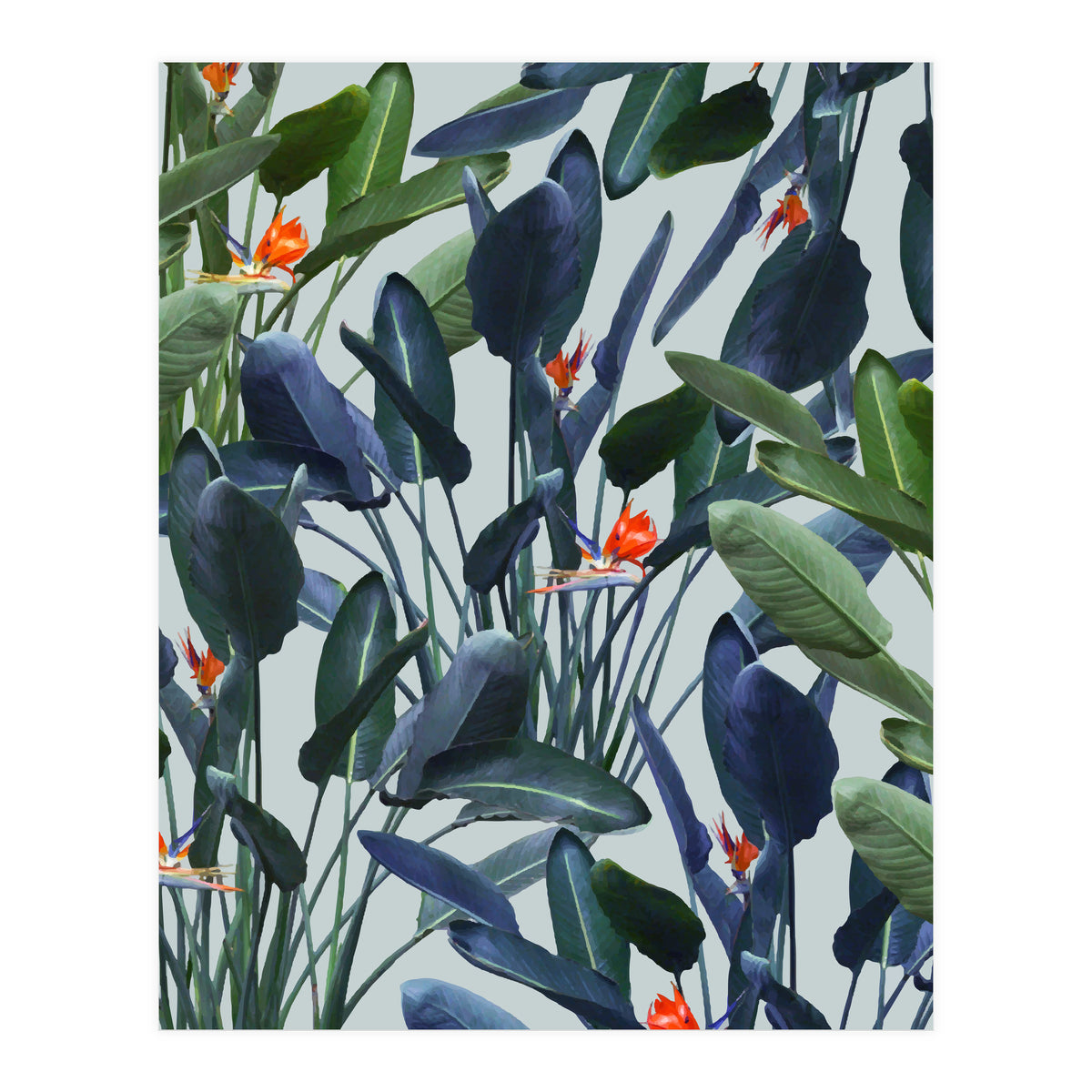 Optical Zen (Print Only)