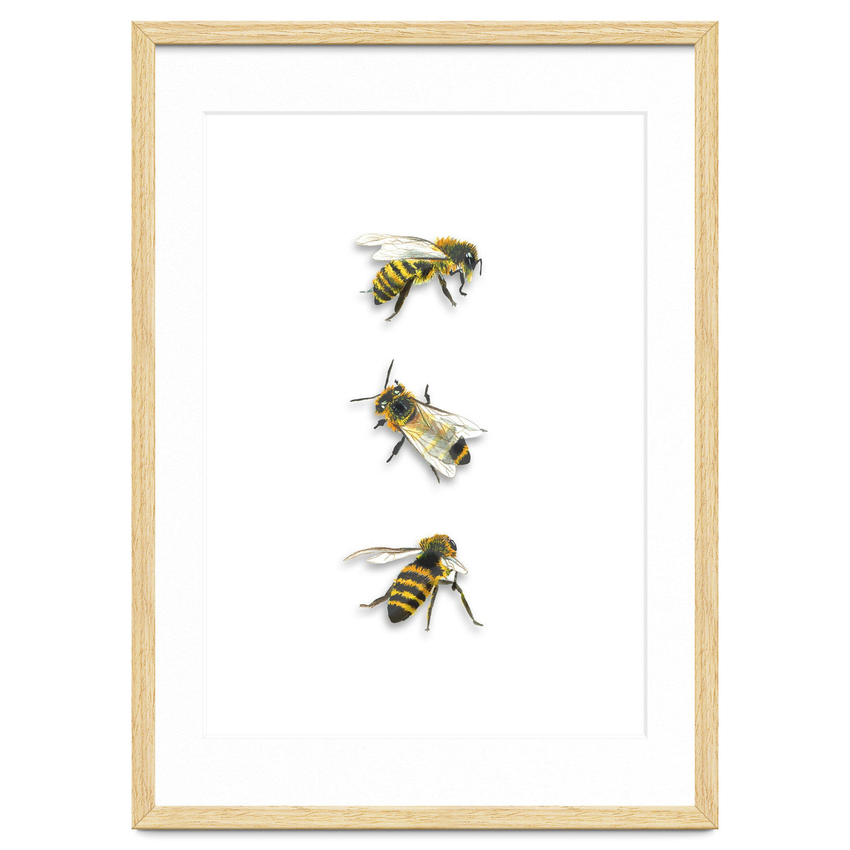 The 3 Bee's