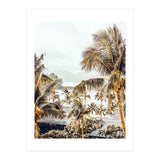Island View (Print Only) thumbnail