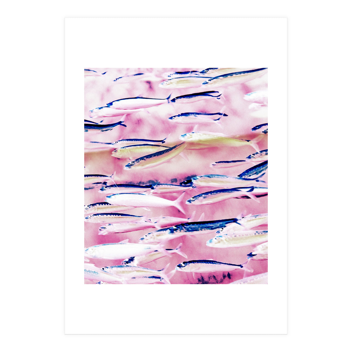 Marked Coast (Print Only)