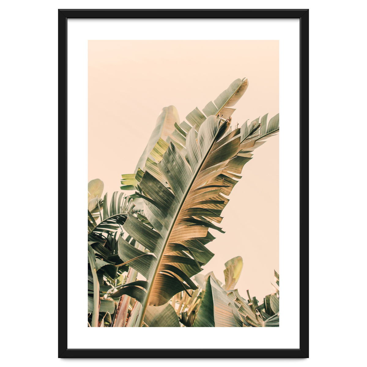 Growing Green Alicia Bock