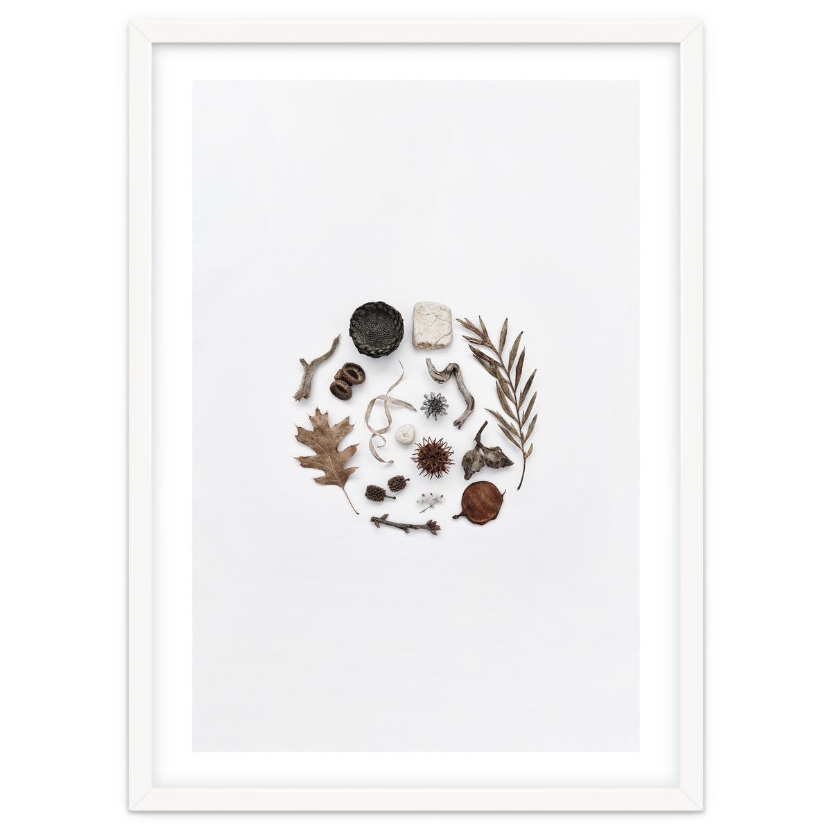 Treasures From Nature No. 2