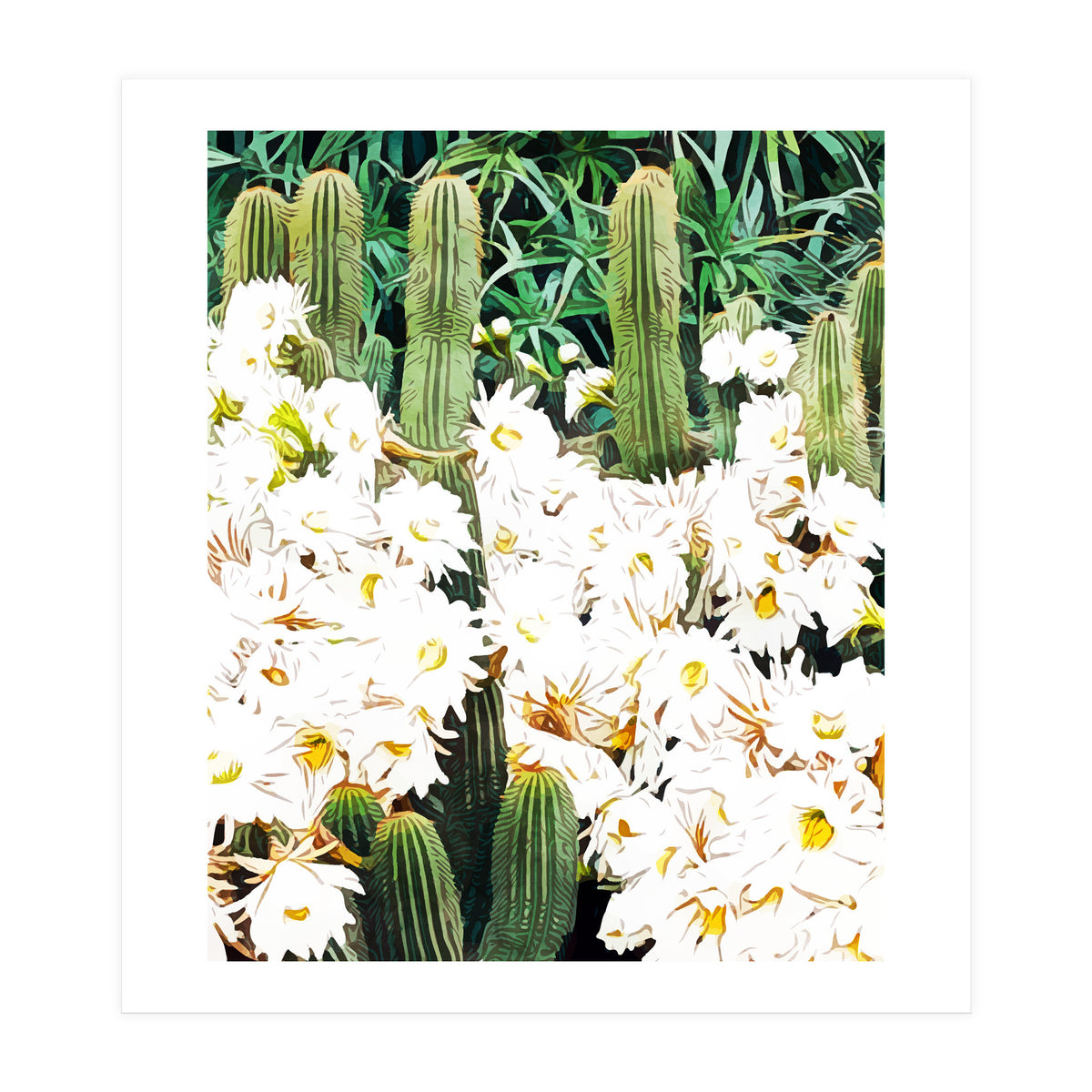 Cactus & Bloom (Print Only)