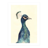 Peacock (Print Only) thumbnail