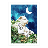 Moonbath (Print Only) thumbnail