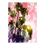 Snake sunset in paradise  (Print Only) thumbnail