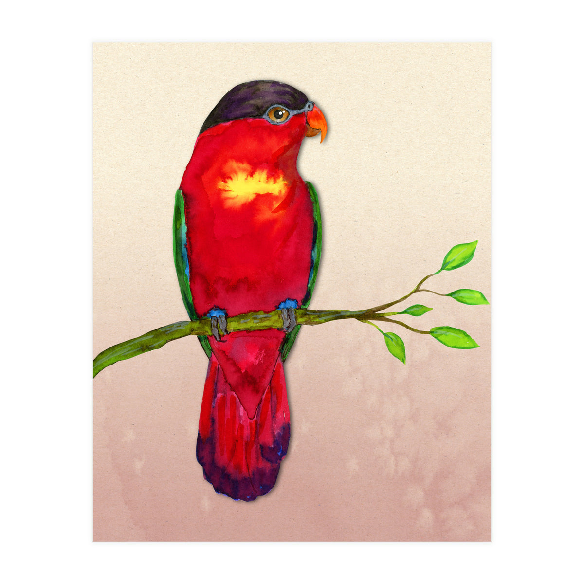 Purple-naped lory (Print Only)