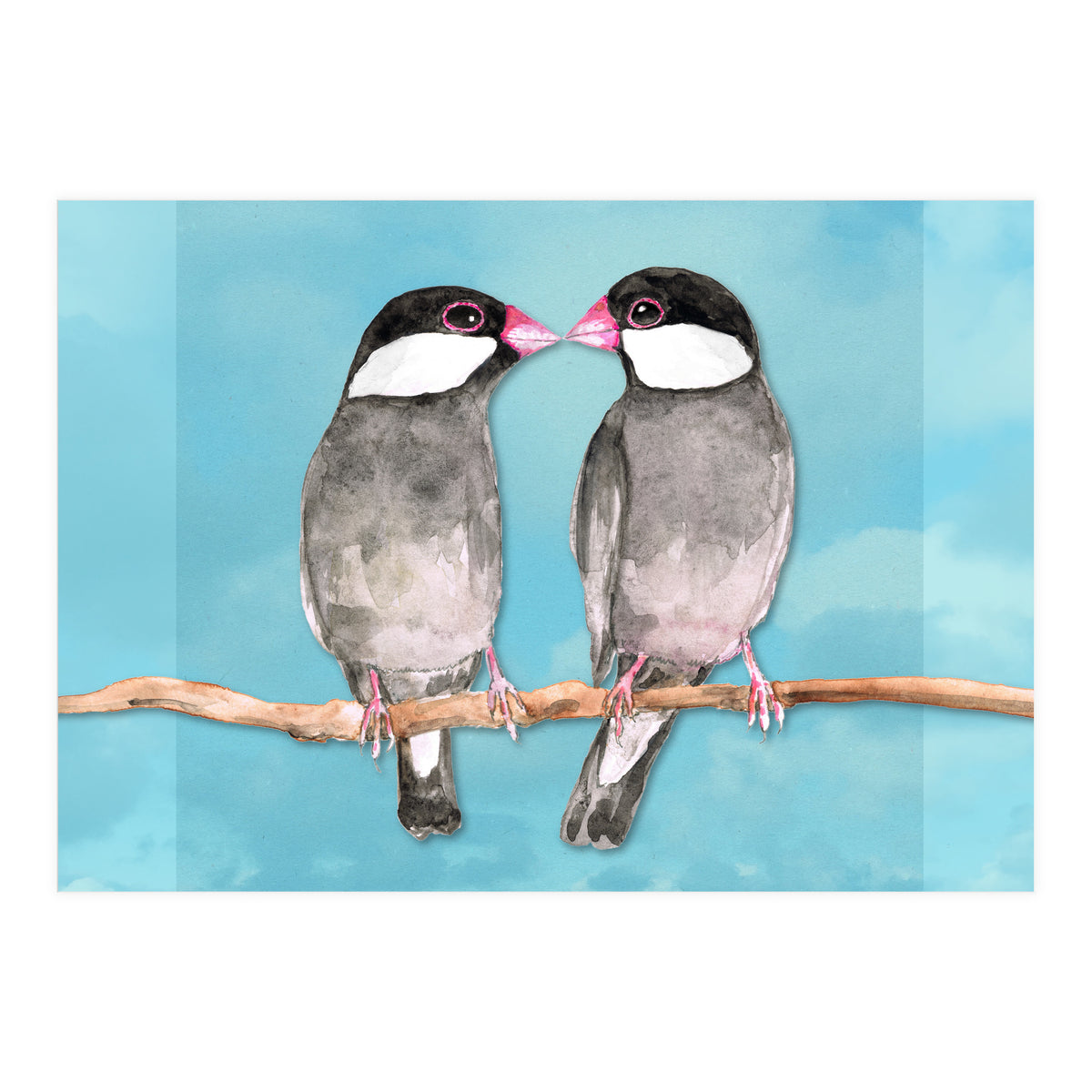 Two kissing Java sparrows (Print Only)