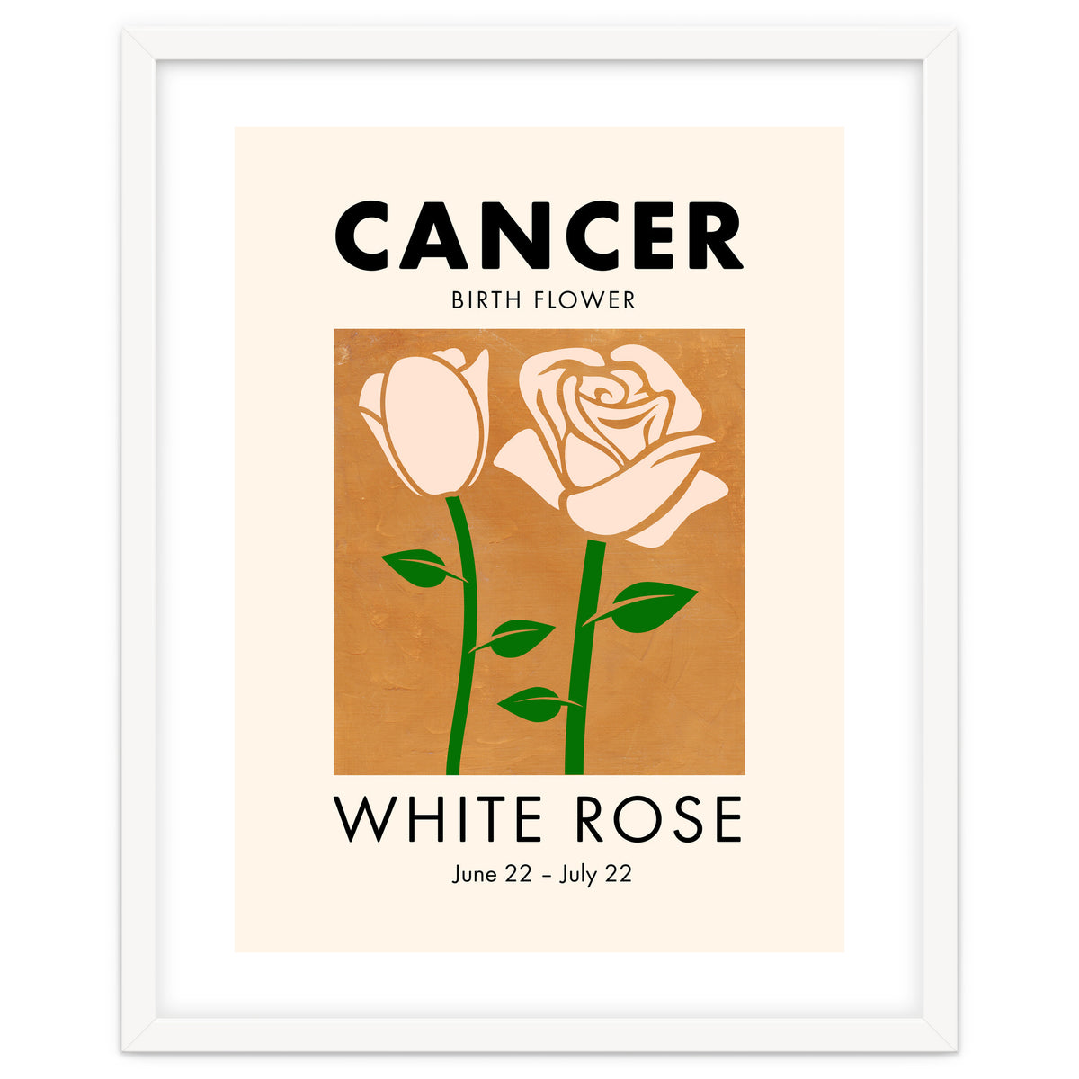 Cancer Birth Flower White Rose