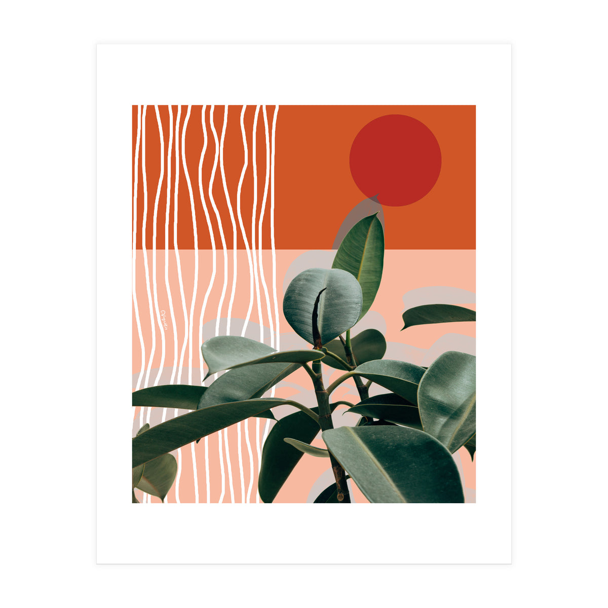 Times of a Growing Plant (Print Only)