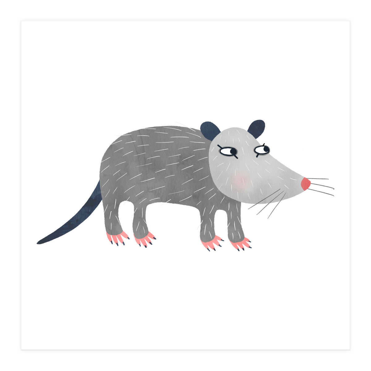 Possum (Print Only)