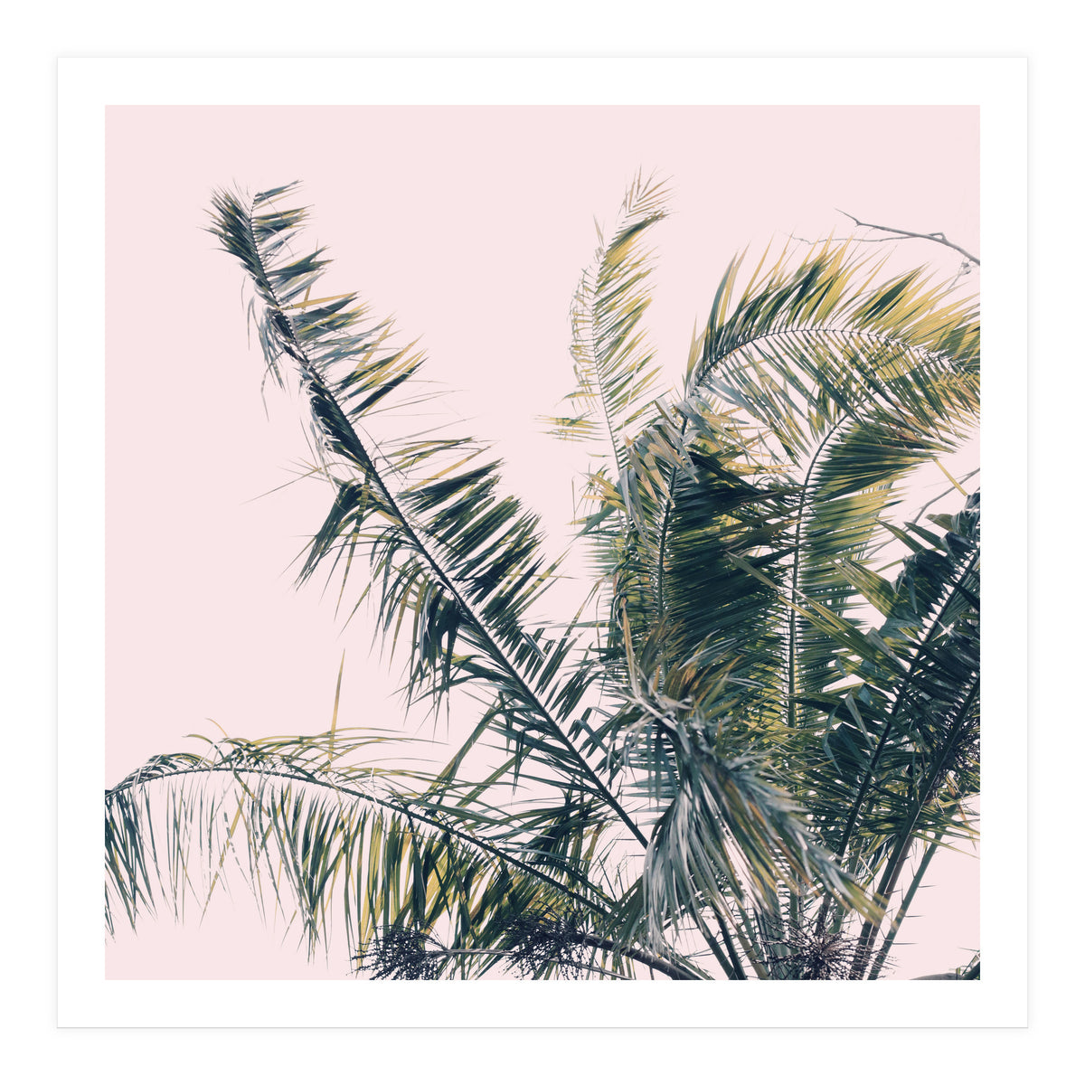 Winds Of Change #1 (Print Only)