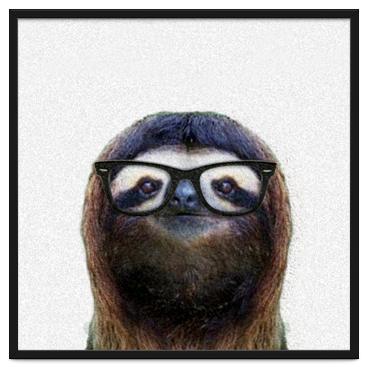 Geek Sloth