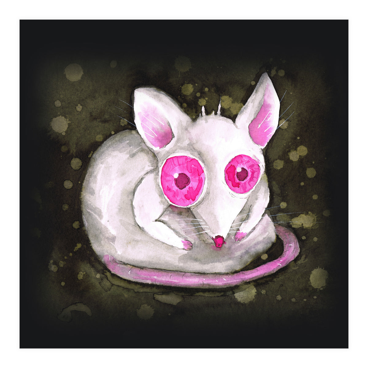 Albino rat (Print Only)