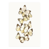 Cc Butterflies 01 (Print Only) thumbnail
