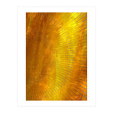 Sunset In Colors 2 (Print Only) thumbnail