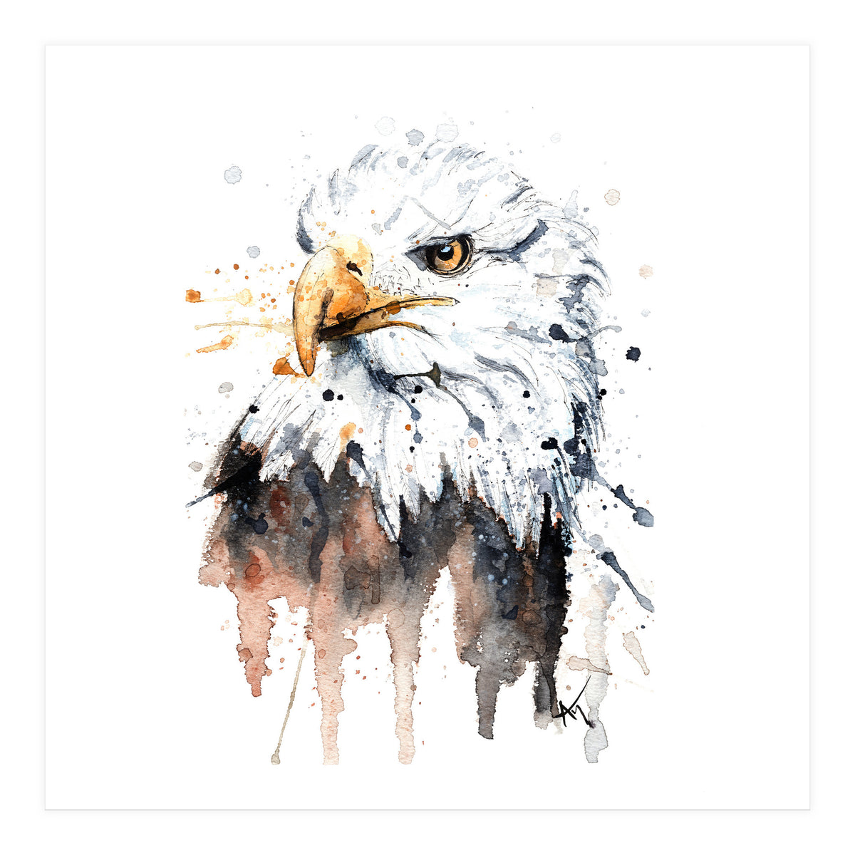 Bald Eagle - Wildlife Collection (Print Only)