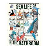 Sea Life in the Bathroom (Print Only) thumbnail