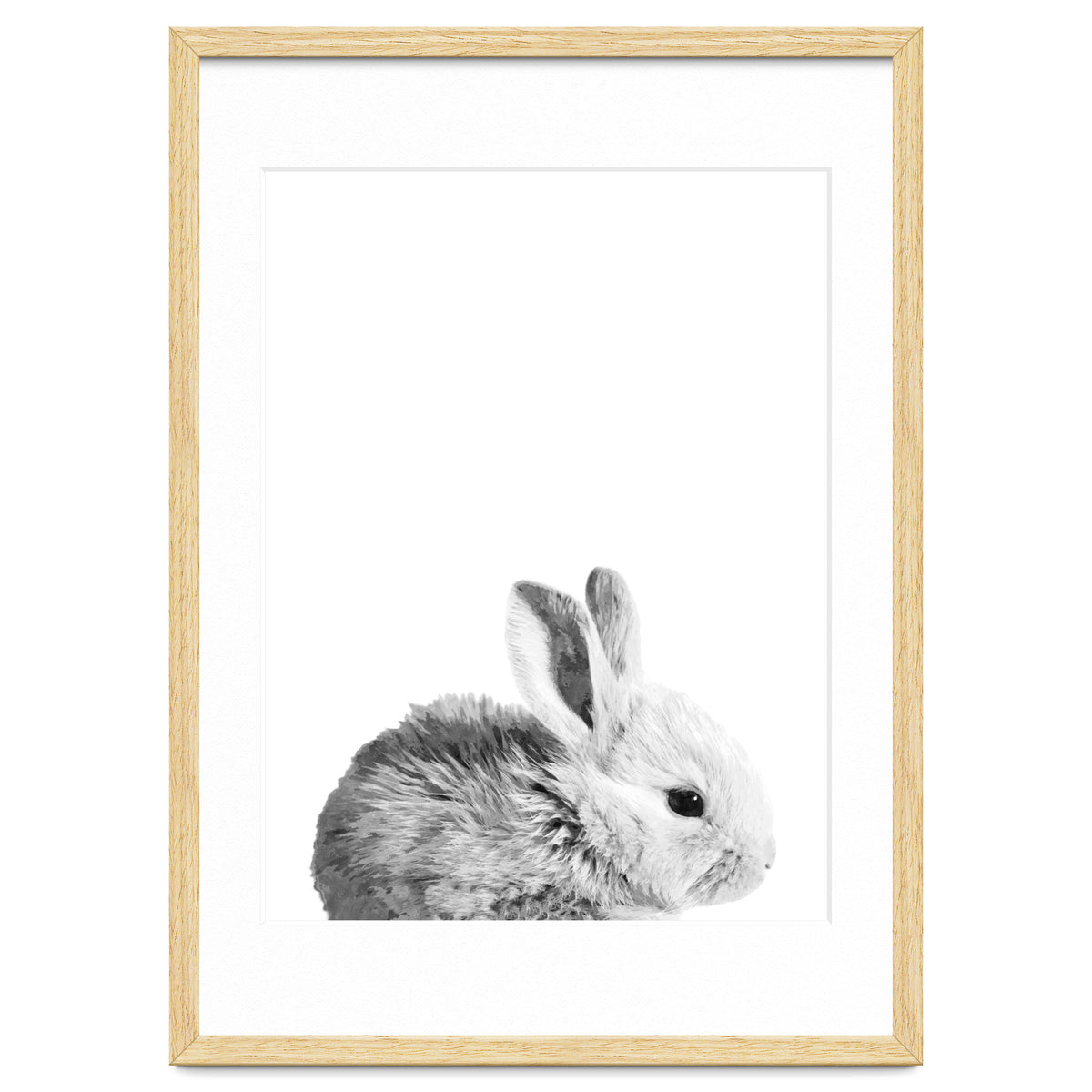Black and White Bunny Portrait