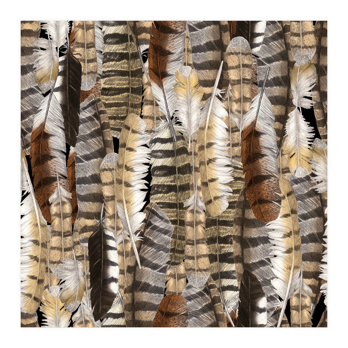 Owl Feathers (Print Only)