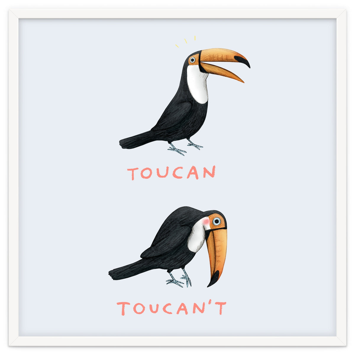Toucan Toucan't