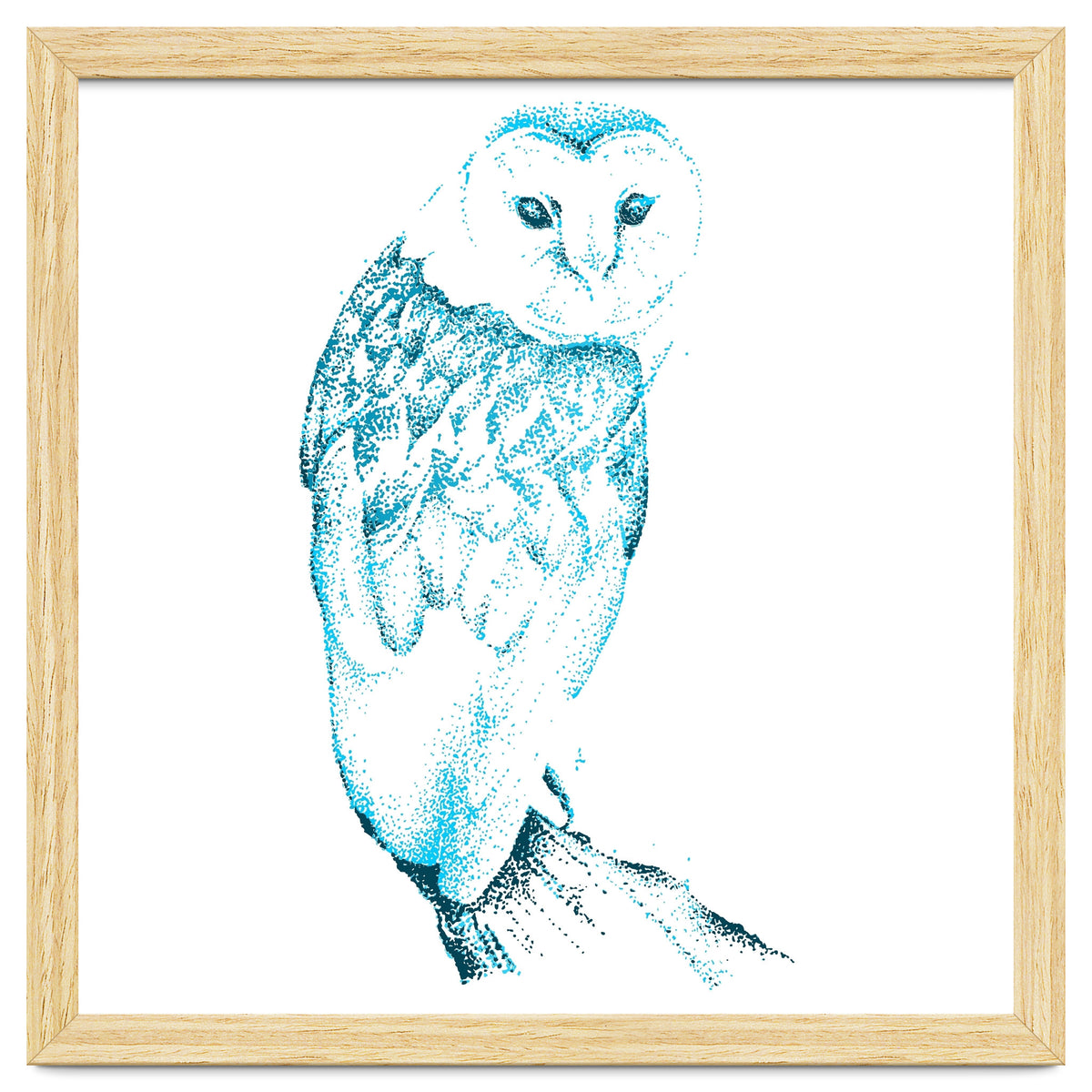 Barn Owl in Teal