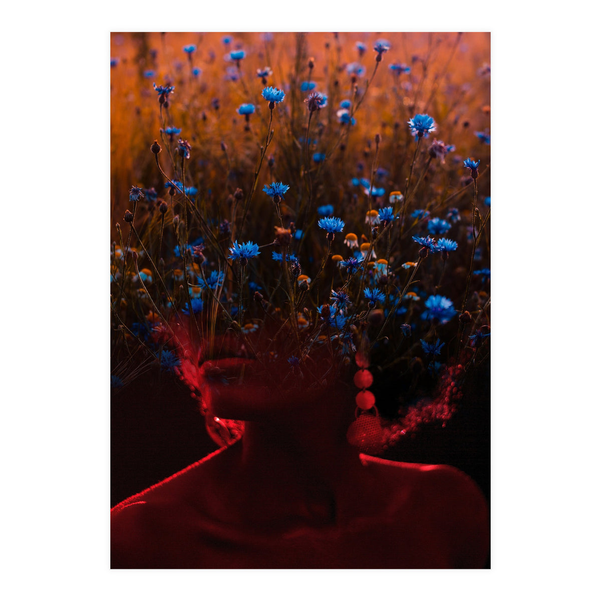 Dream Division 10 (Print Only)