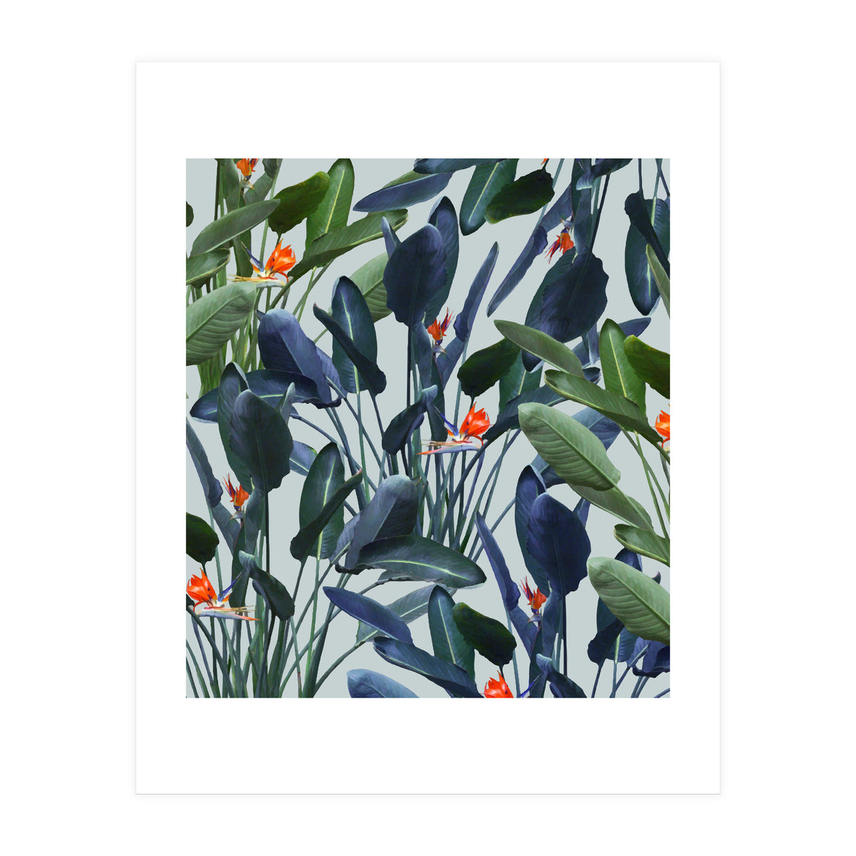 Optical Zen (Print Only)