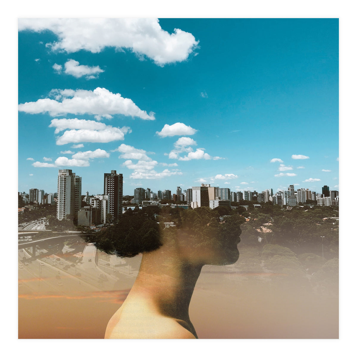 Dream Division 15 (Print Only)