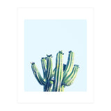Cactus (Print Only) thumbnail