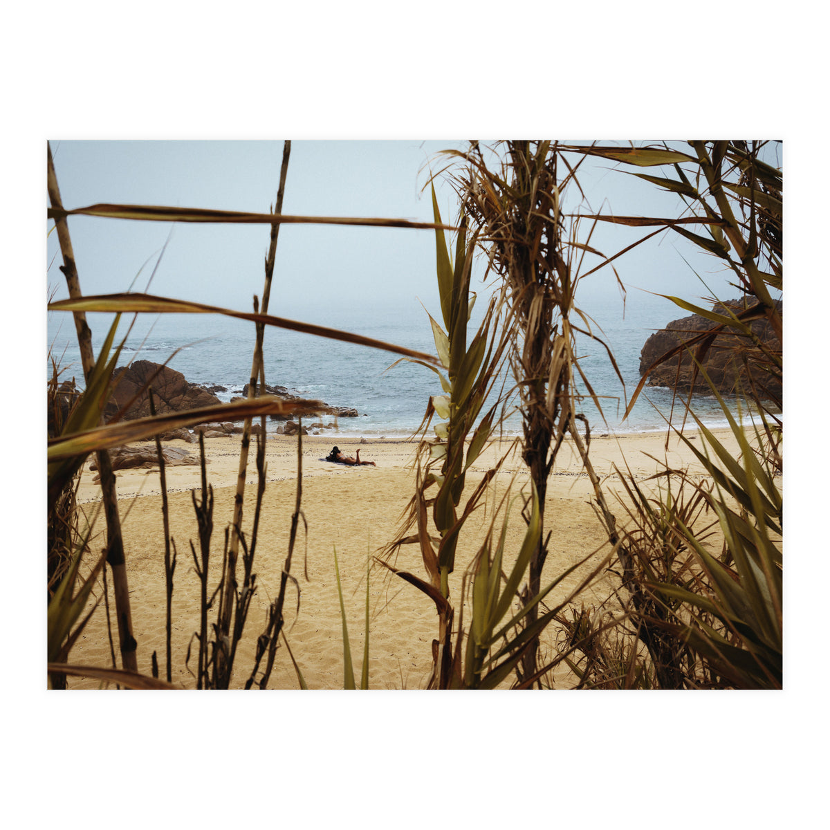 The Lure of a Tan (Print Only)