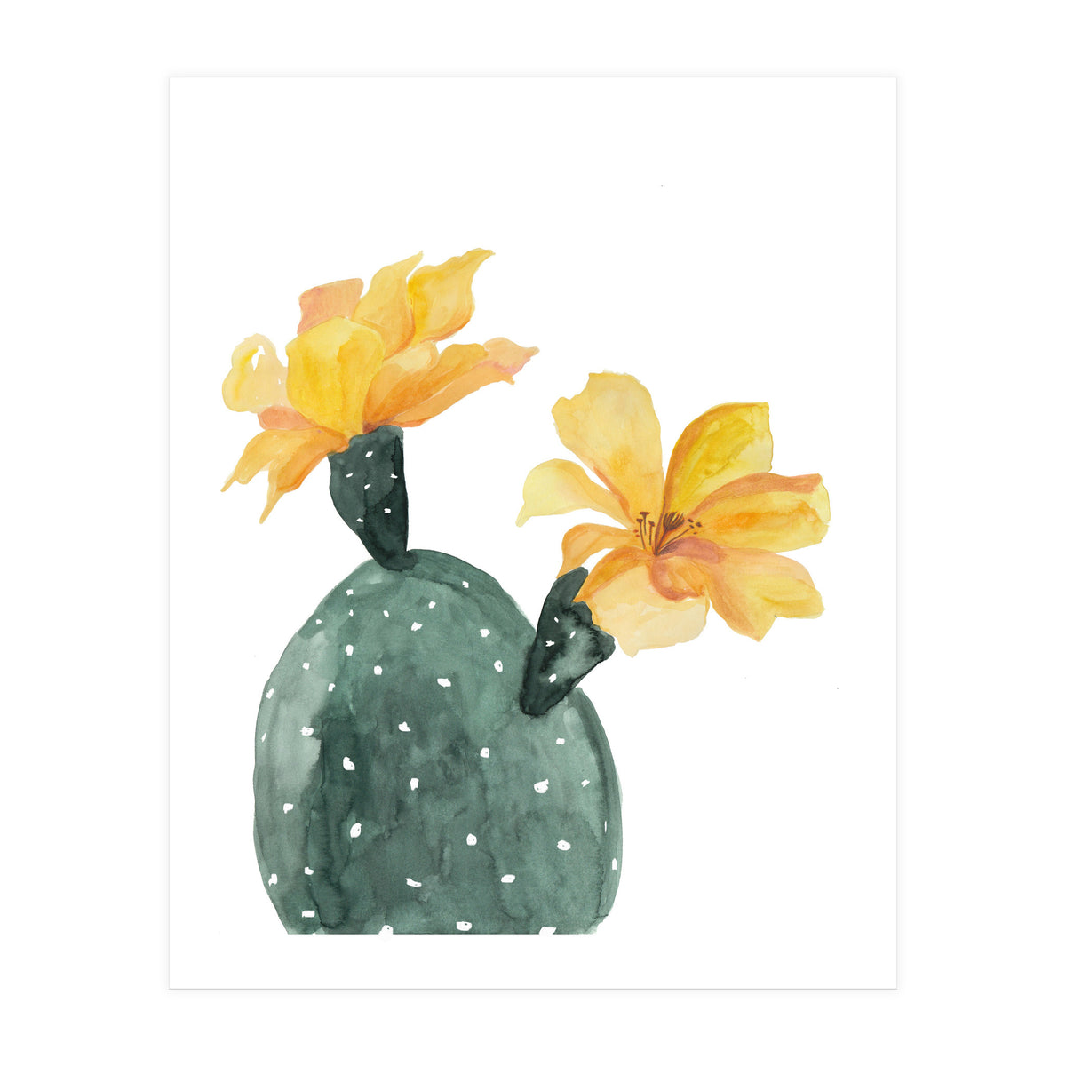 Botanical Illustration Yellow Cactus Flowers (Print Only)