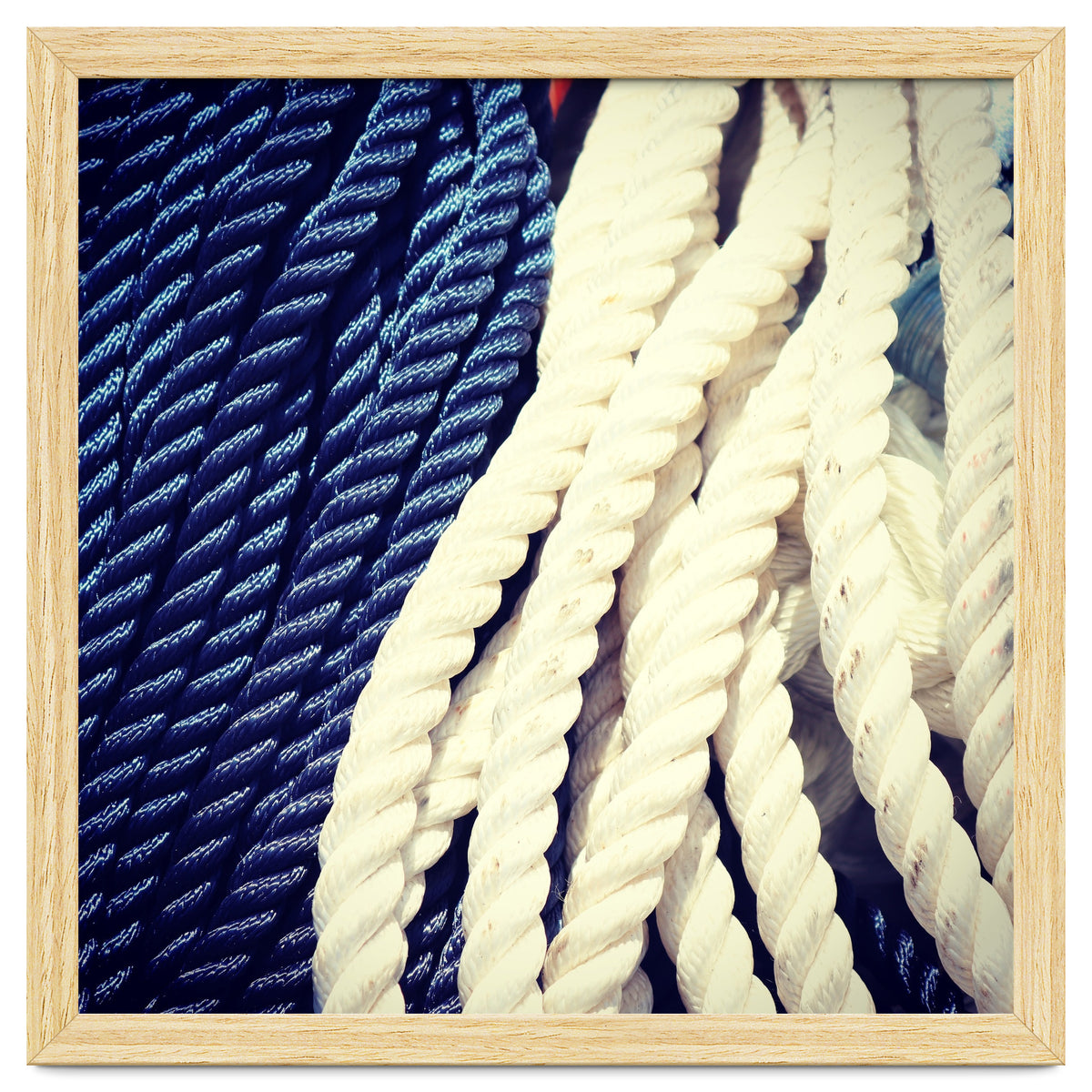 Blue and white fishing rope