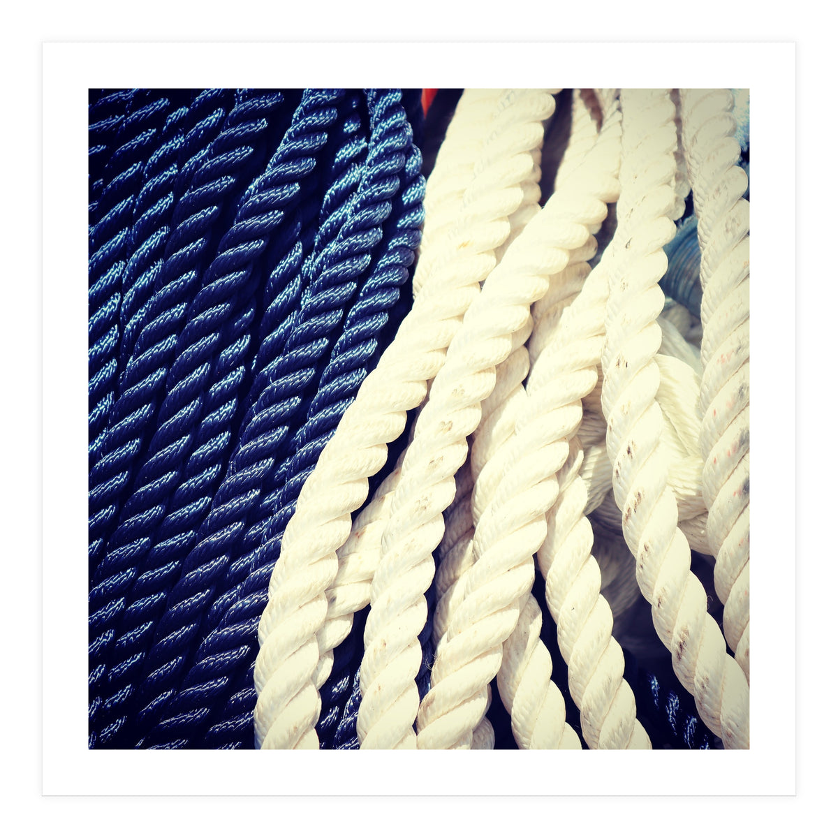 Blue and white fishing rope (Print Only)