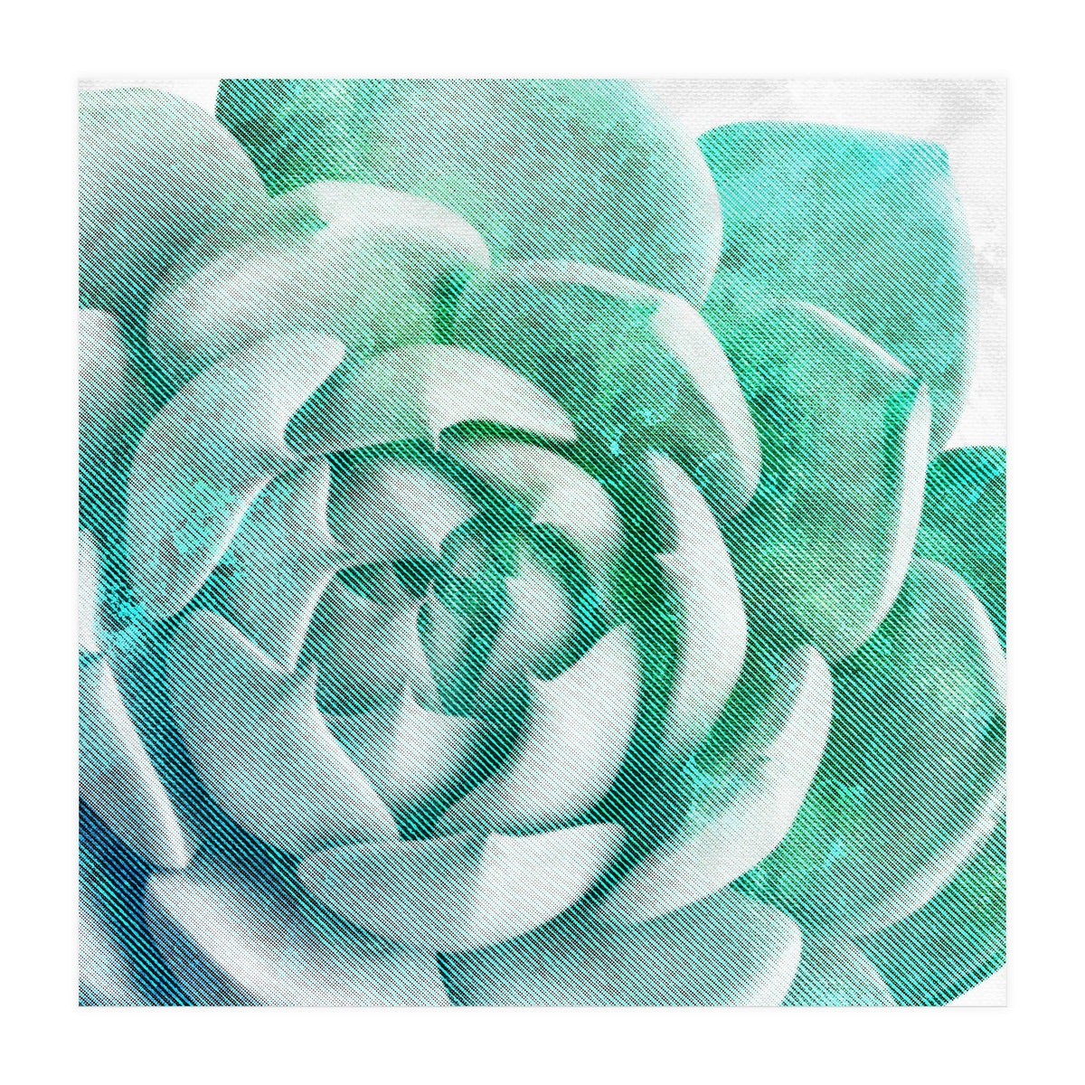 Rough Beauty 1 (Print Only)