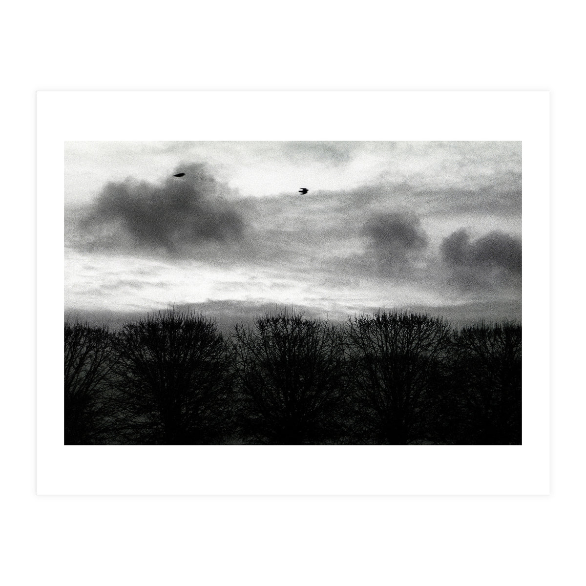 Winter mornig in Paris (Print Only)