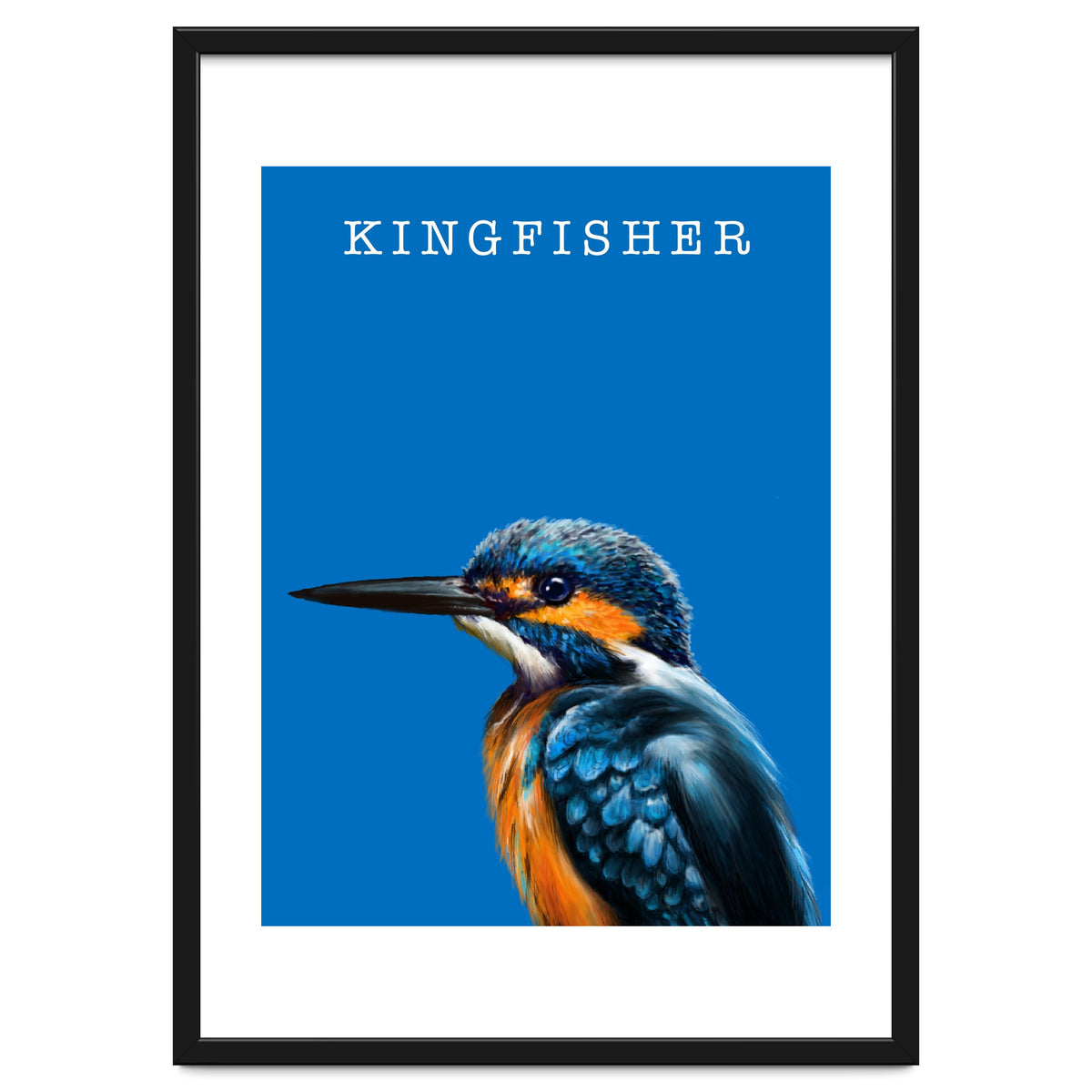 Kingfisher