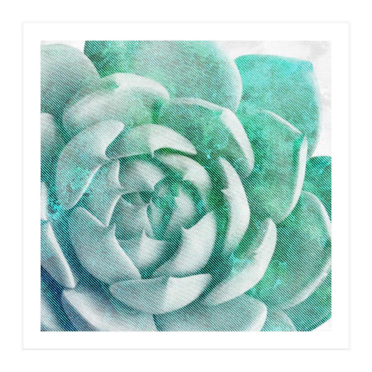 Rough Beauty 1 (Print Only)